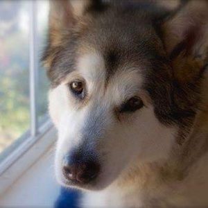 Meet your Posher, Madeleine